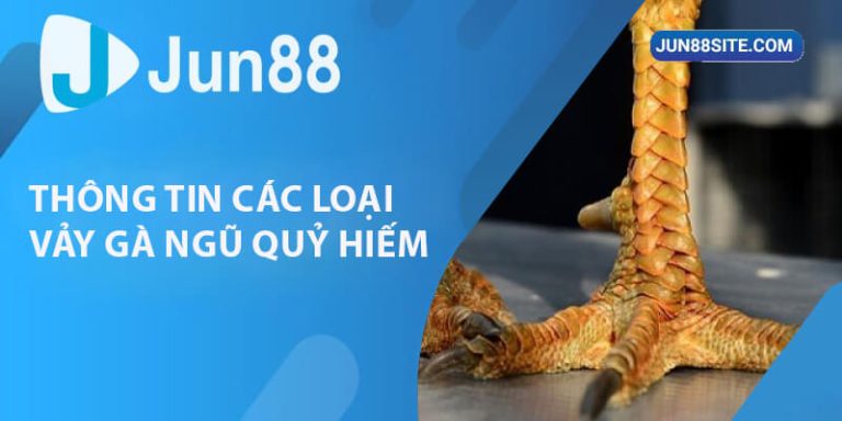 Những Thông Tin Hữu Ích Xoay Quanh Loại Vảy Gà Ngũ Quỷ Hiếm